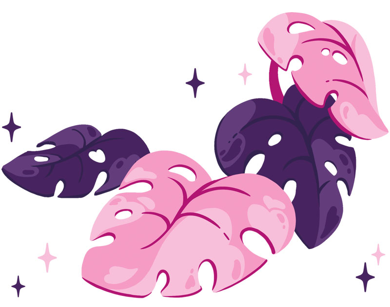 header-contacts_monstera_fabs-nocera